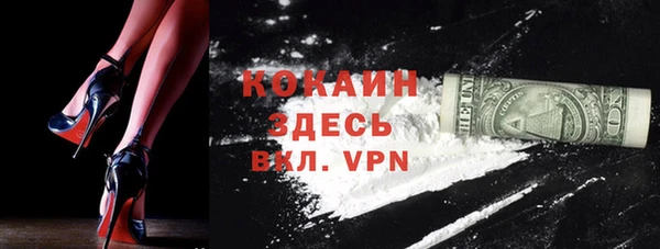 прущие грибы Арсеньев