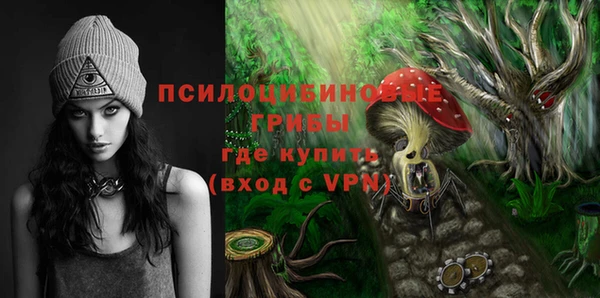дживик Армянск