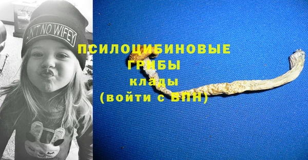 дживик Армянск