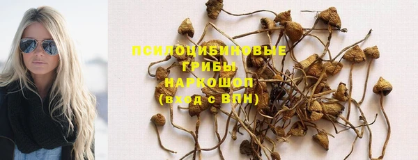 прущие грибы Арсеньев