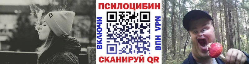 Купить закладки Бахчисарай Псилоцибиновые грибы Psilocybine cubensis